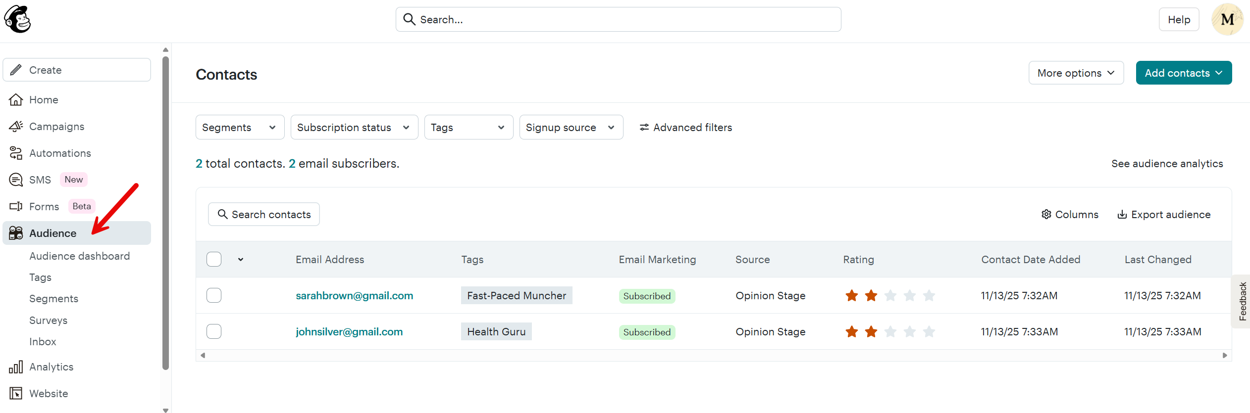 Screenshot of the Mailchimp Audience page showing two contacts with their tags, subscription status, and source listed, with the Audience tab highlighted in the left sidebar.