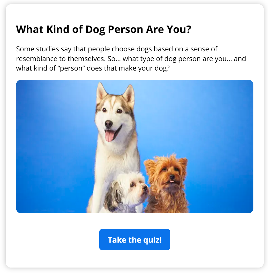 Screenshot of a quiz created by Zulily using the Opinion Stage quiz maker. The quiz is titled 'What kind of dog person are you?' and features an image of three dogs on a blue background.
